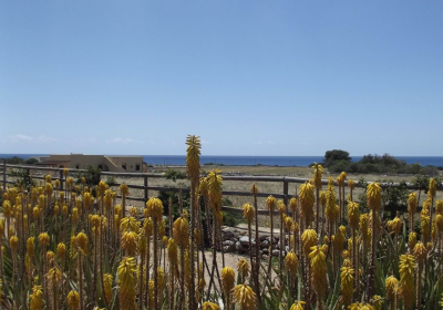 Agriturismo Il Giardino Delle Aloe